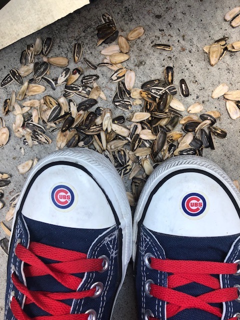 sunflower seeds cleats